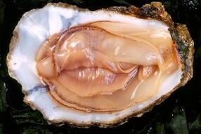 Oyster is a powerful sex drive stimulant